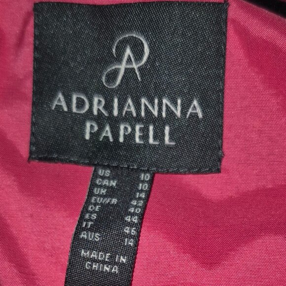 NWT Vibrant Fuchsia Adrianna Papell Dress (10) - Picture 7 of 11